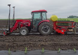 Aronia Berry Planting Wright Farms MN 11