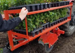 Aronia Berry Planting Wright Farms MN 12