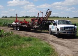 Aronia Berry Planting Wright Farms MN 5