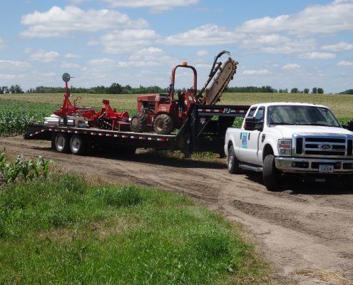 Aronia Berry Planting Wright Farms MN 5