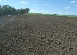 Aronia Berry Planting Wright Farms MN 3