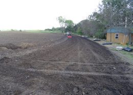 Aronia Berry Planting Wright Farms MN 2
