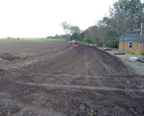 Aronia Berry Planting Wright Farms MN 2