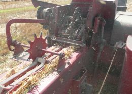 Mini straw bales, mini hay bales Wright Farms MN 9