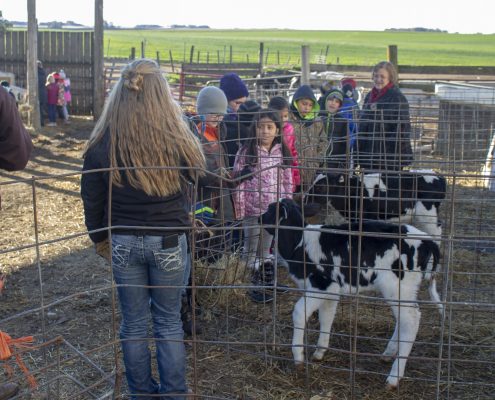 Wright Farms Field Trips 7