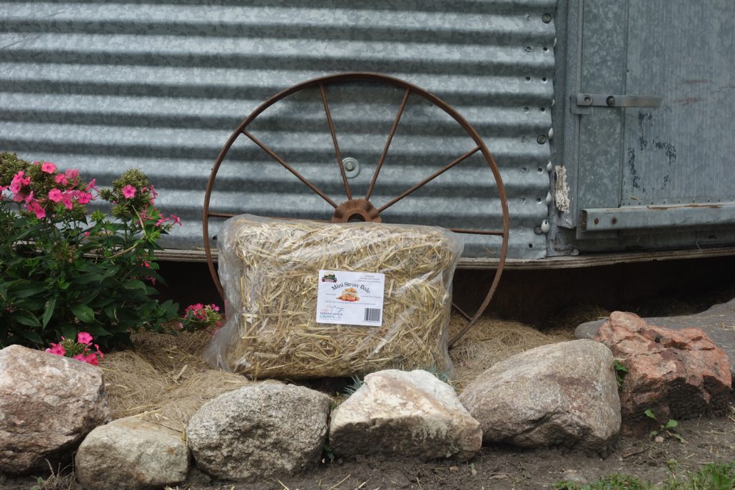 Mini Hay Bales - 10 inch miniature straw bales