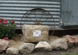 Mini straw bales, mini hay bales Wright Farms MN 6