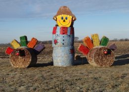 Farm Holiday Decorations 5