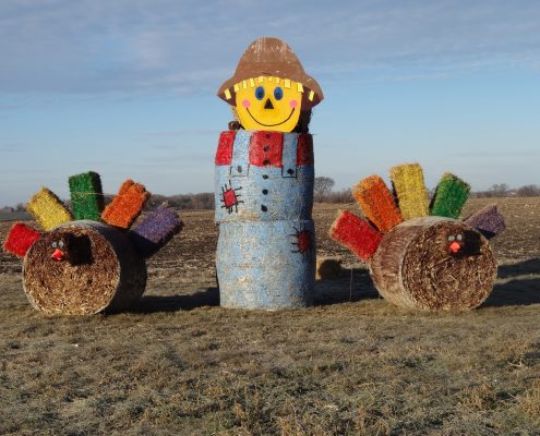 Farm Holiday Decorations 5