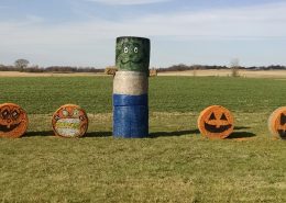 Farm Holiday Decorations 3