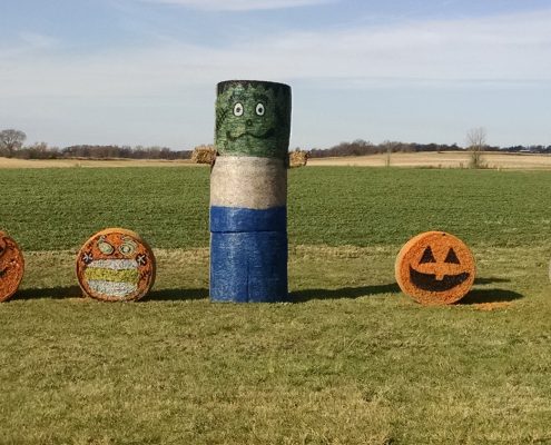 Farm Holiday Decorations 3