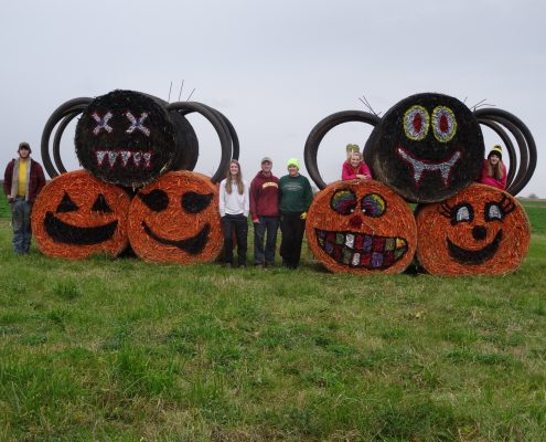 Farm Holiday Decorations 1