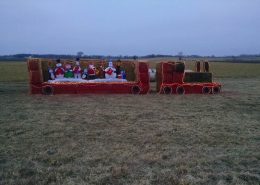 Wright Farm Holiday Decorations 16