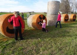 Farm Holiday Decorations 2