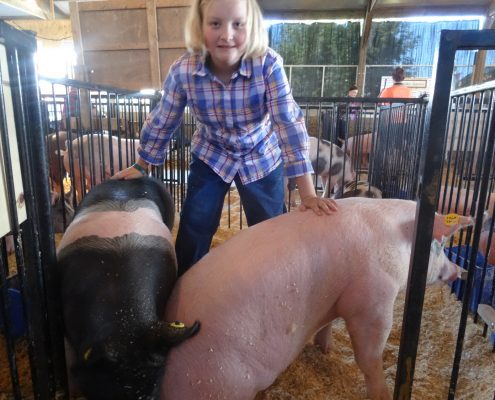 Wright Family Showing Animals 10