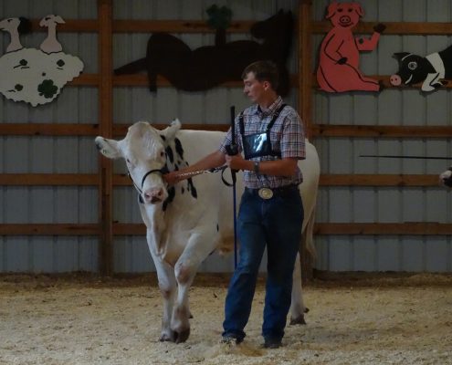 Wright Family Showing Animals 15