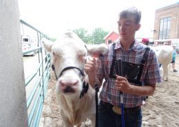 Wright Family Showing Animals 13