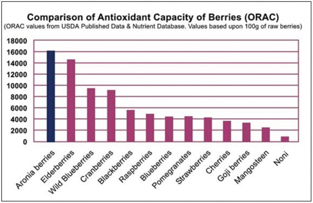 Berry Antioxidant Chart