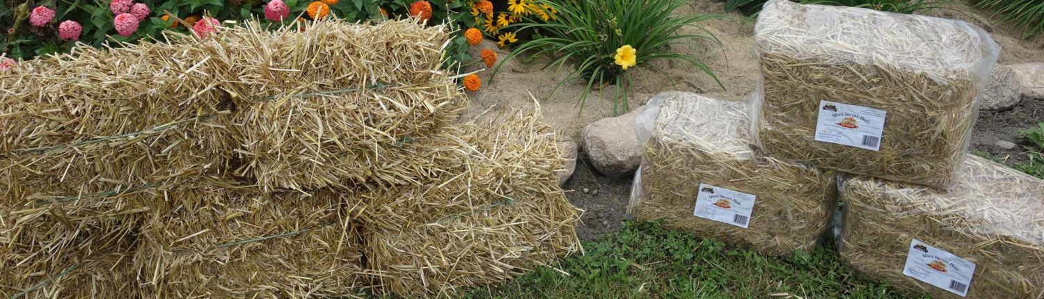 Mini Straw Bales MN - Wright Farms